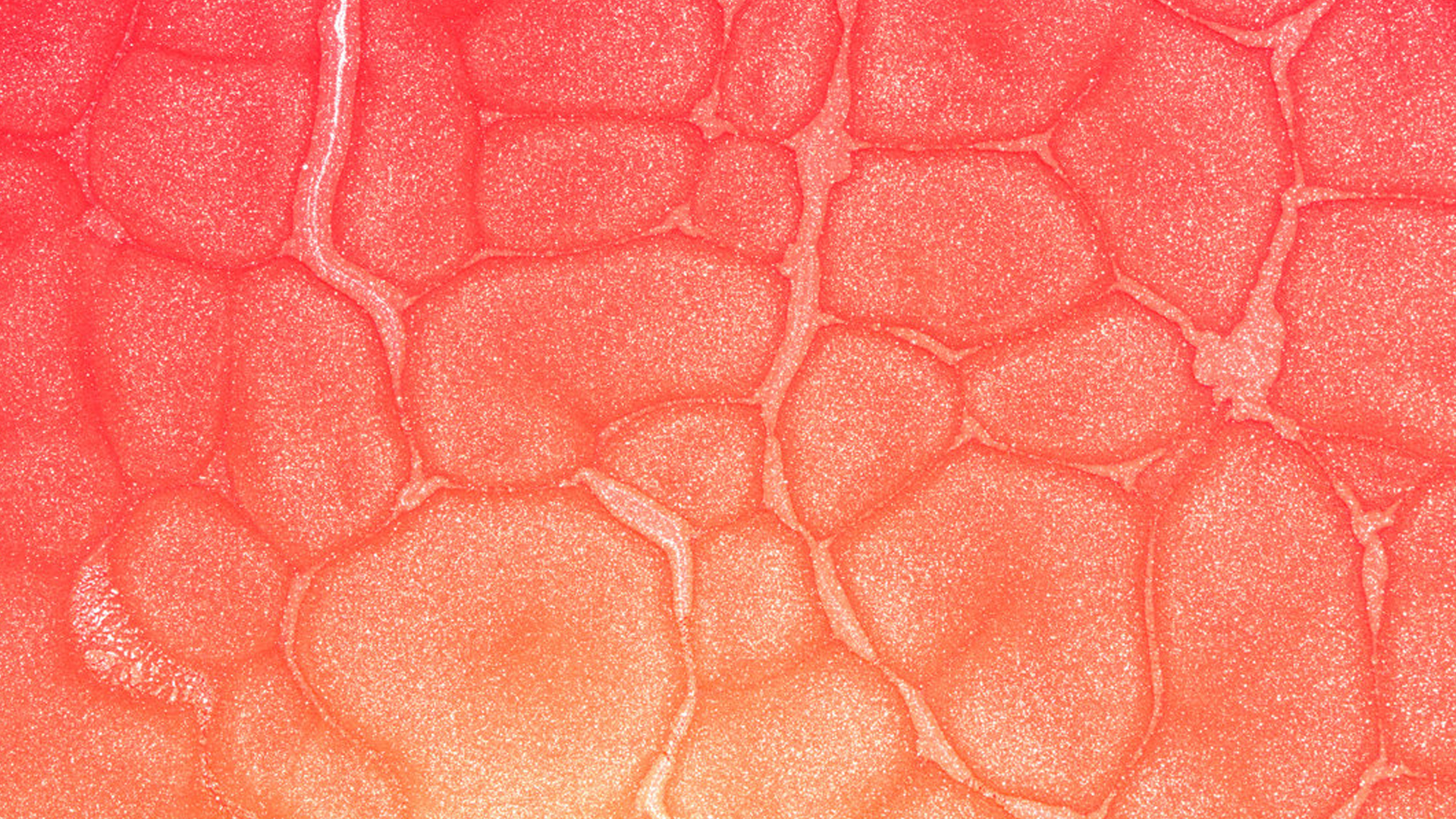 Diamond Day’s Connect the Dots: Shoegaze Dreams and Glitchy Realities