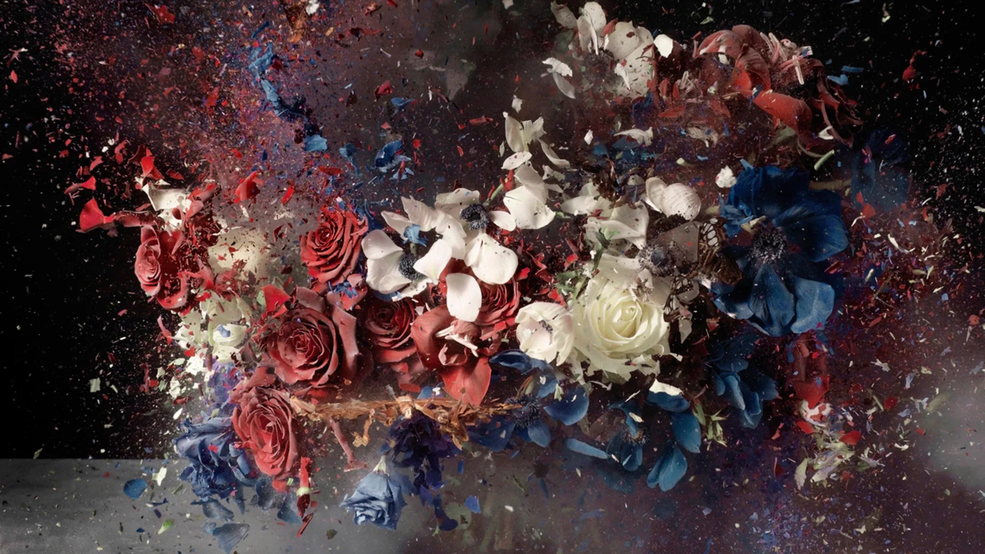 Between Beauty and Rupture: The Photography of Ori Gersht
