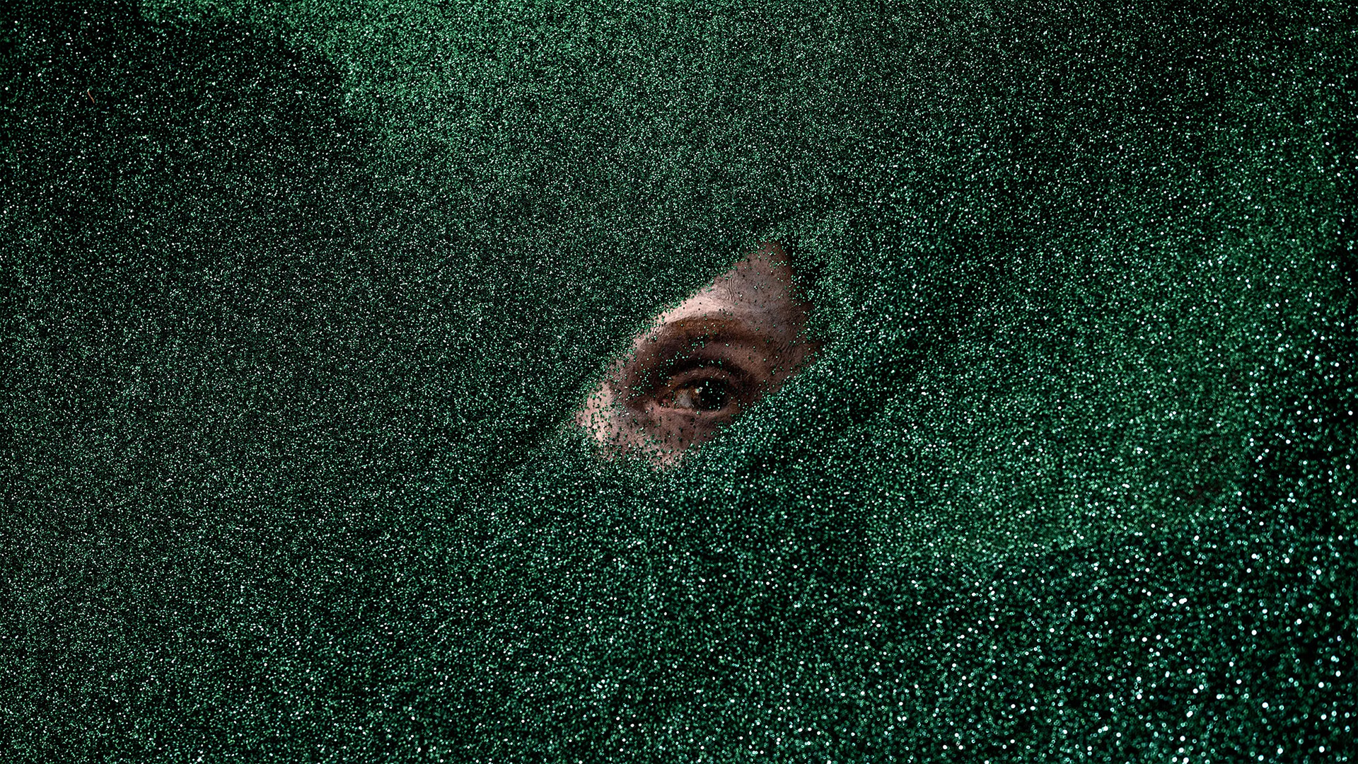 Cig Harvey: The Scent of Colour, The Shape of Memory