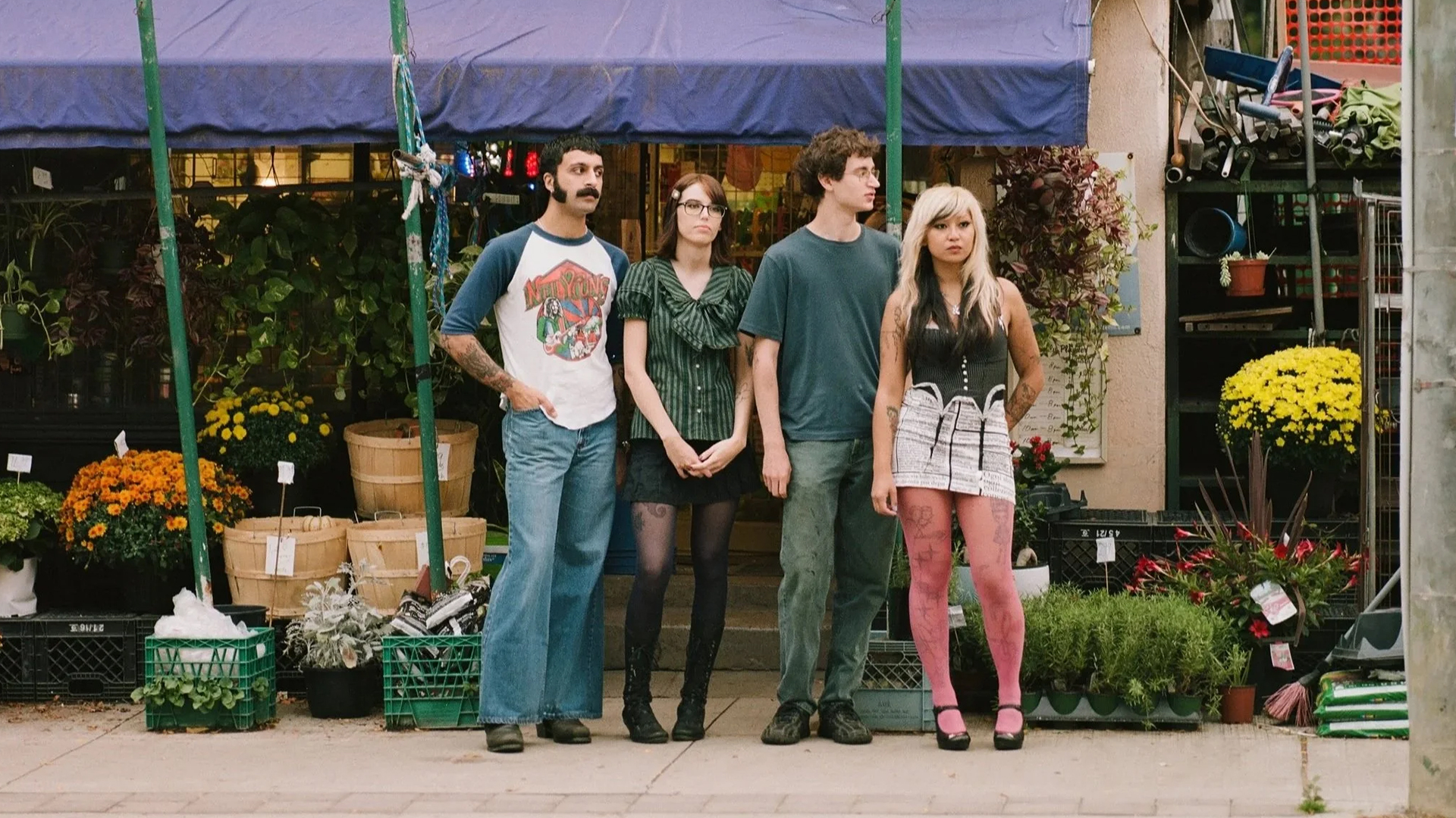 cootie catcher’s Shy at first Blossoms in Playful Chaos