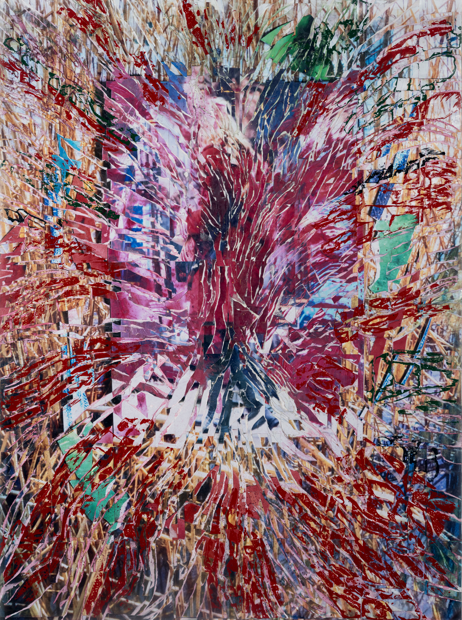 Lady In The Red, from Mehdi Dandi Afterimage exhibition