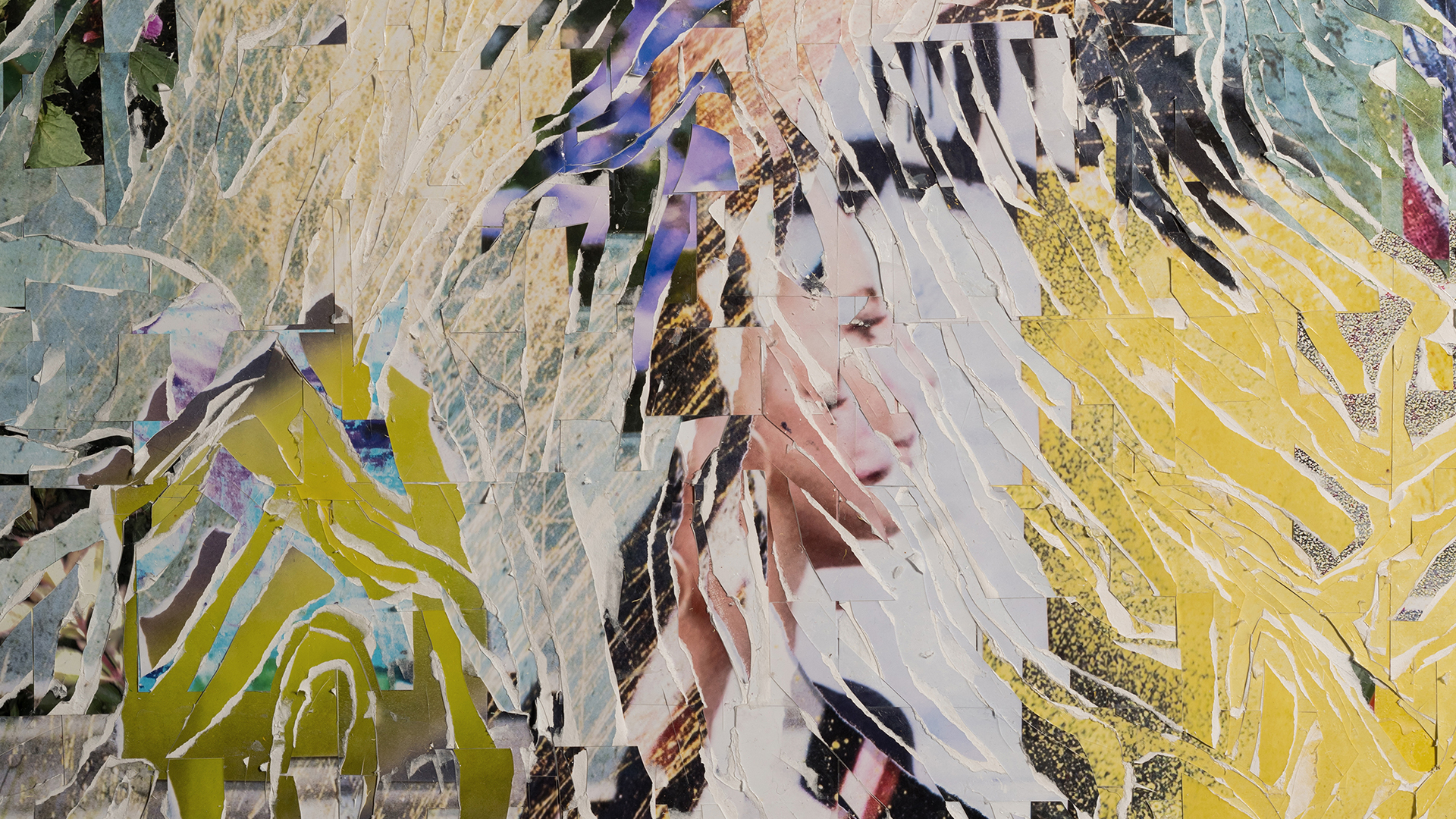 Where Images Refuse to Settle: Mehdi Dandi’s Afterimage