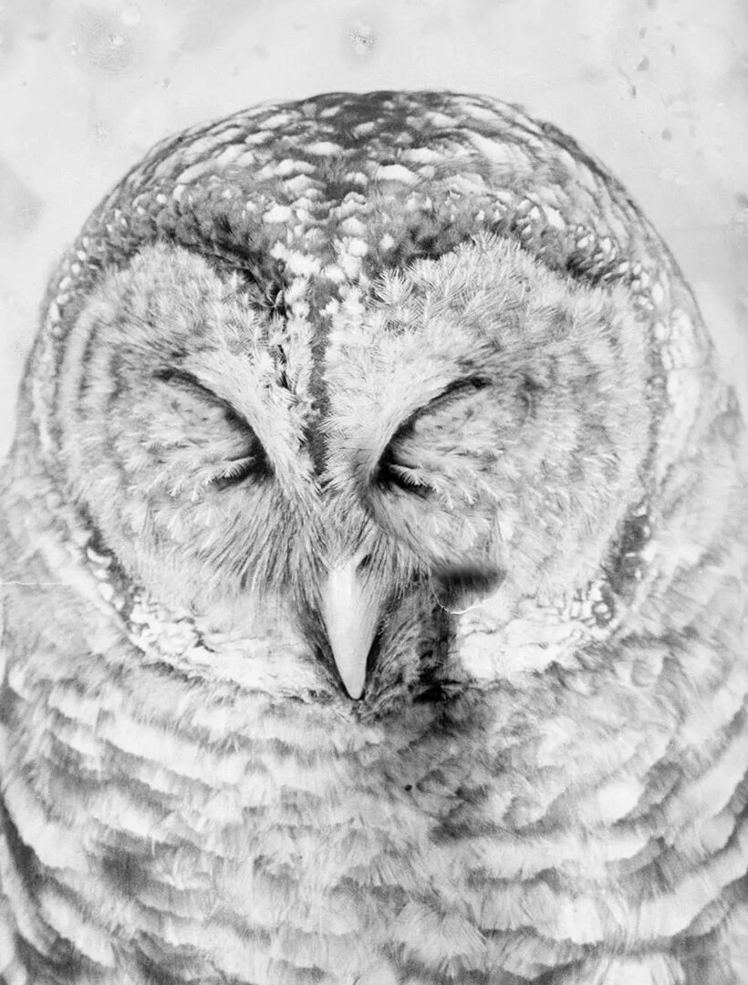 Osheen Harruthoonyan: The Sky Does Not Bend