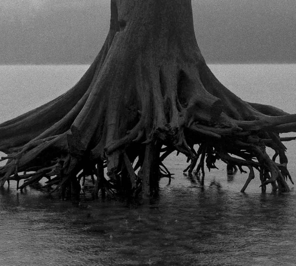 Where Labor Becomes Landscape: Reave Dennison at Pale Fire