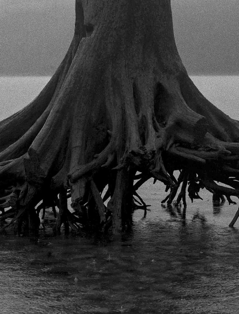 Where Labor Becomes Landscape: Reave Dennison at Pale Fire