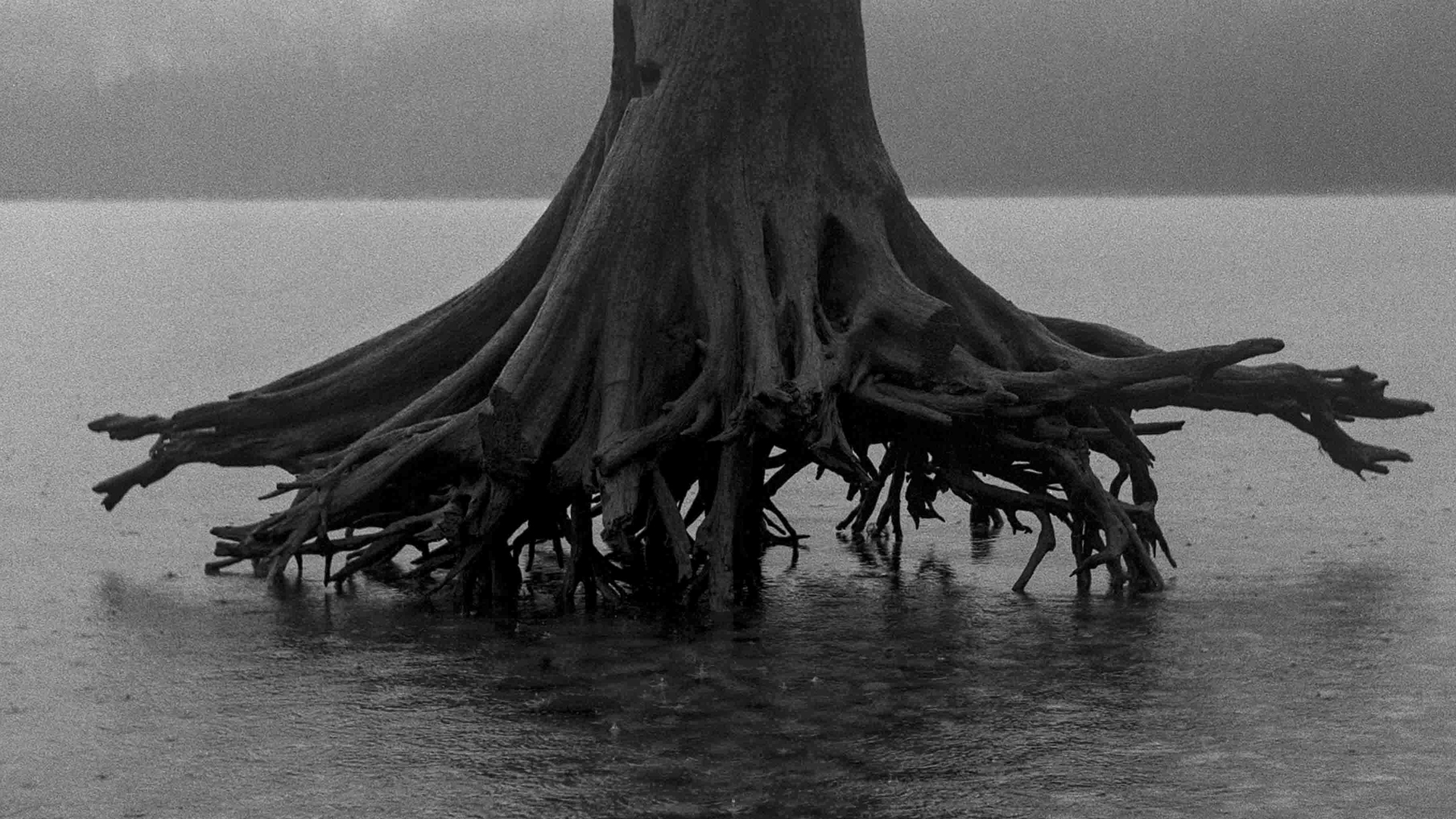 Where Labor Becomes Landscape: Reave Dennison at Pale Fire