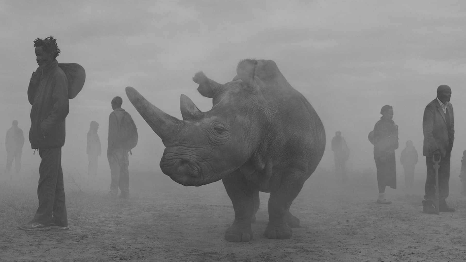 Nick Brandt: The Day May Break