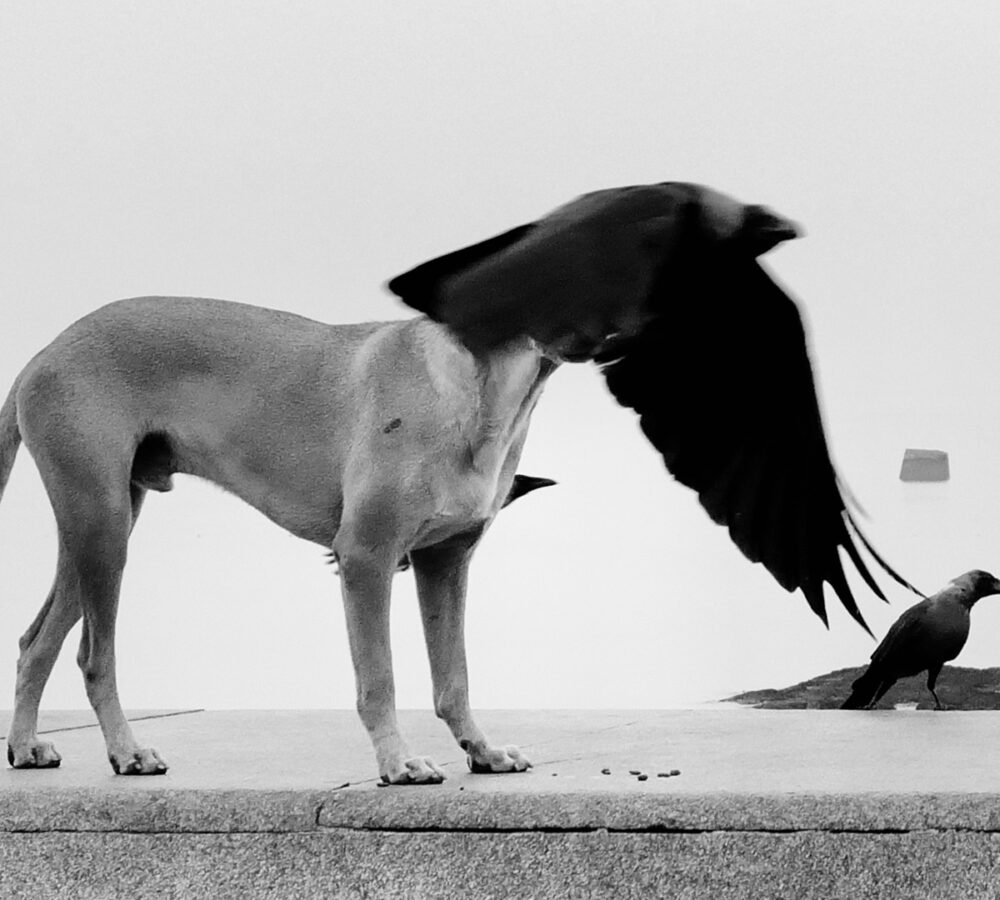The Courage to Look in Dimpy Bhalotia’s Photography