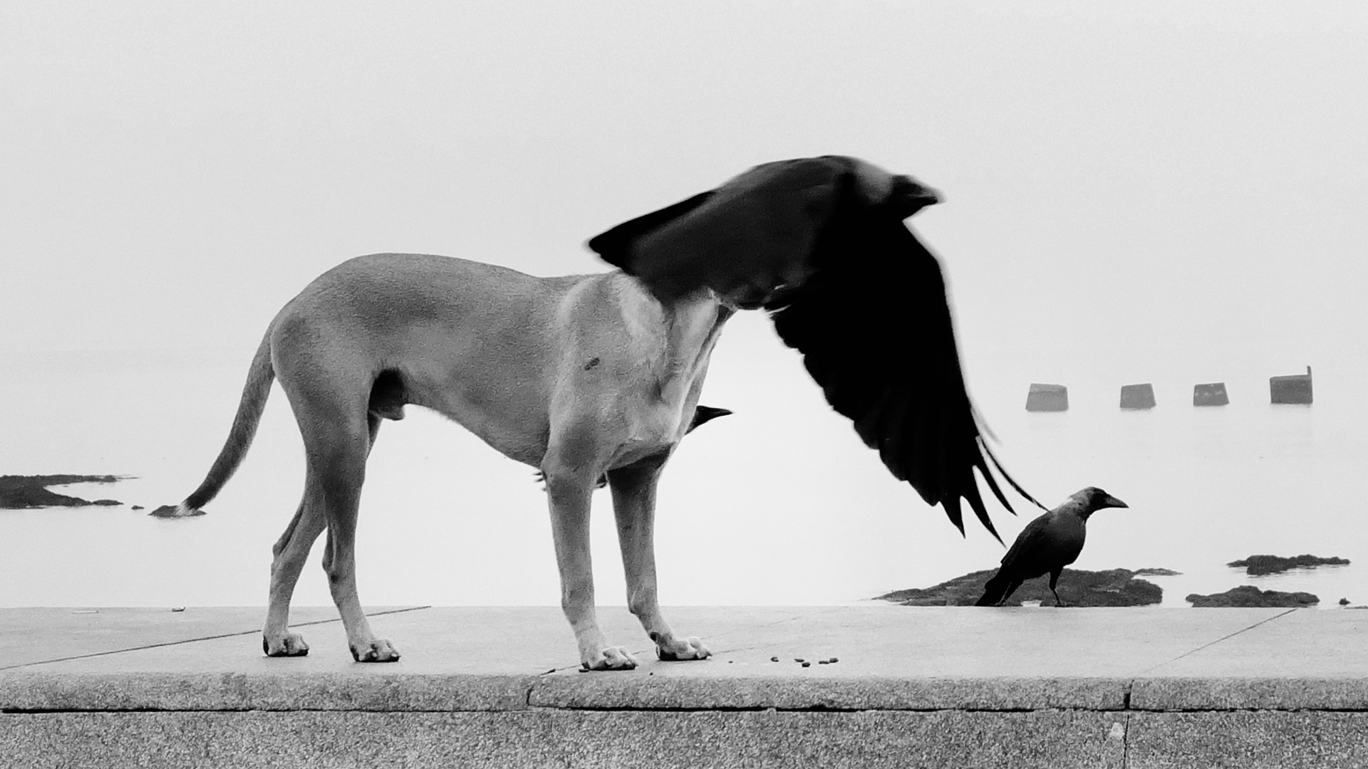 The Courage to Look in Dimpy Bhalotia’s Photography