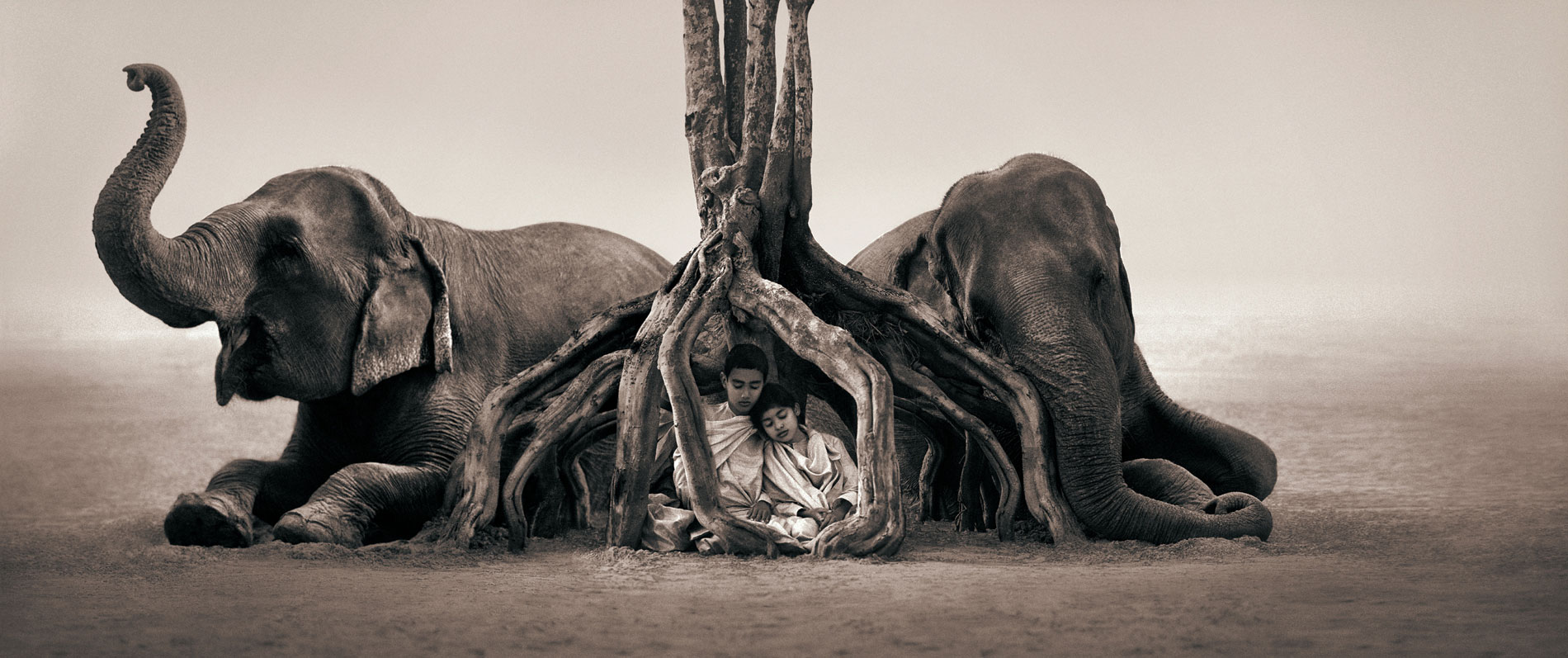 GregoryColbert_D