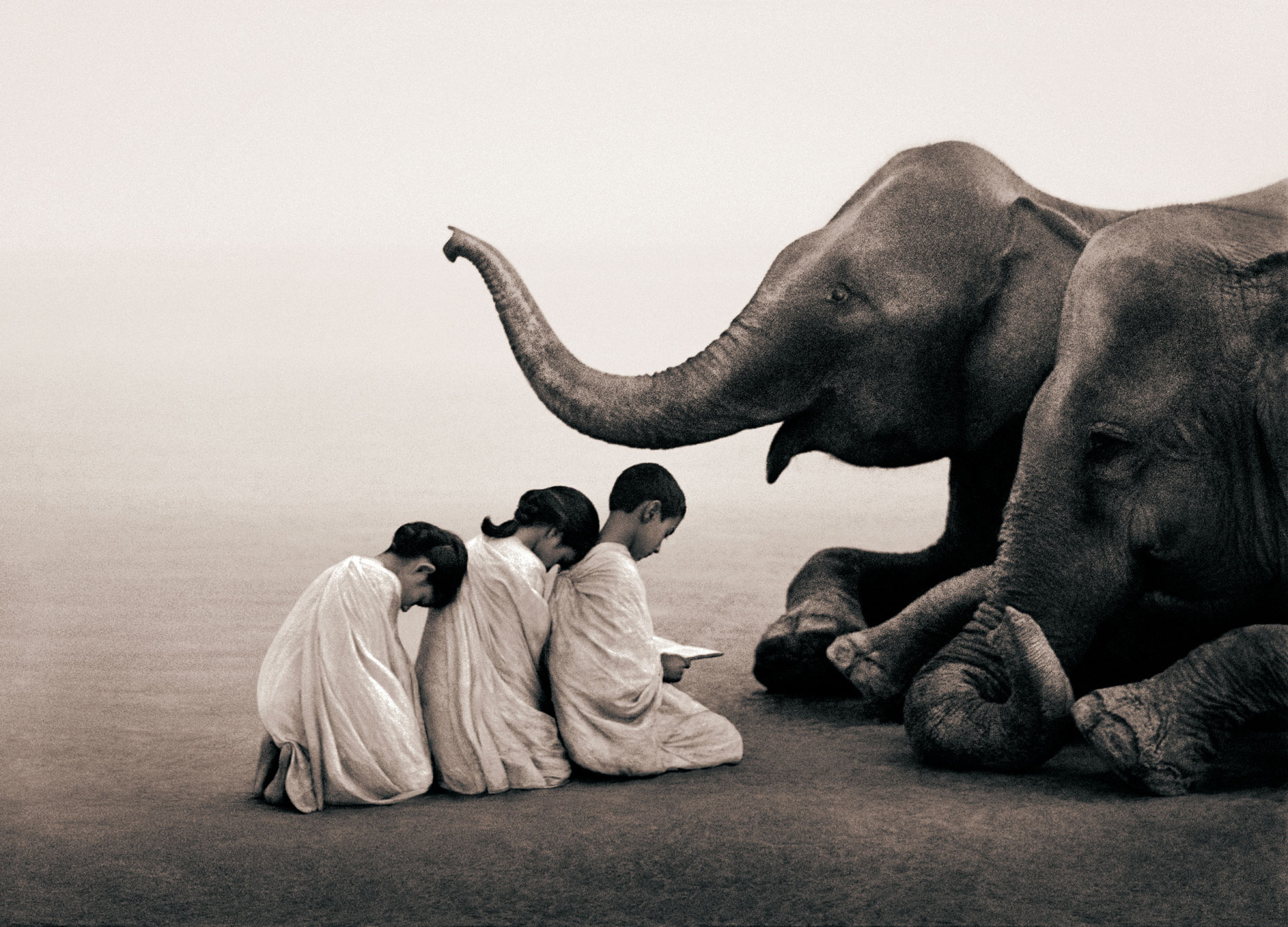 GregoryColbert_F