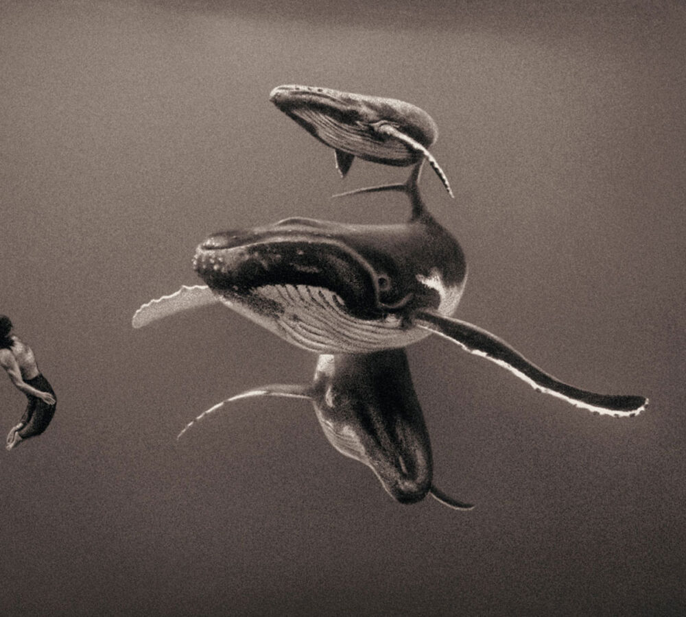 The Shared World of Gregory Colbert’s Photography