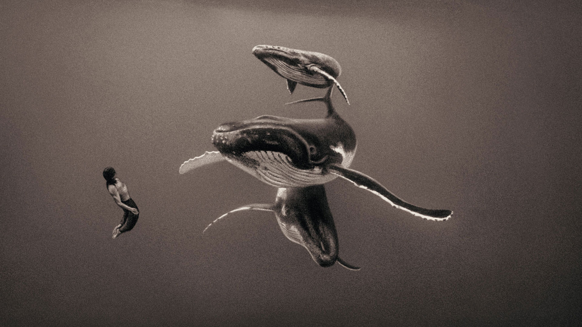 The Shared World of Gregory Colbert’s Photography