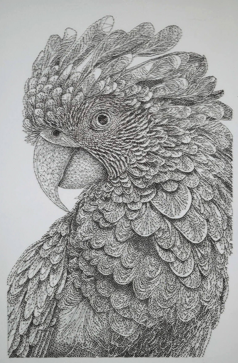 Koracevic_D