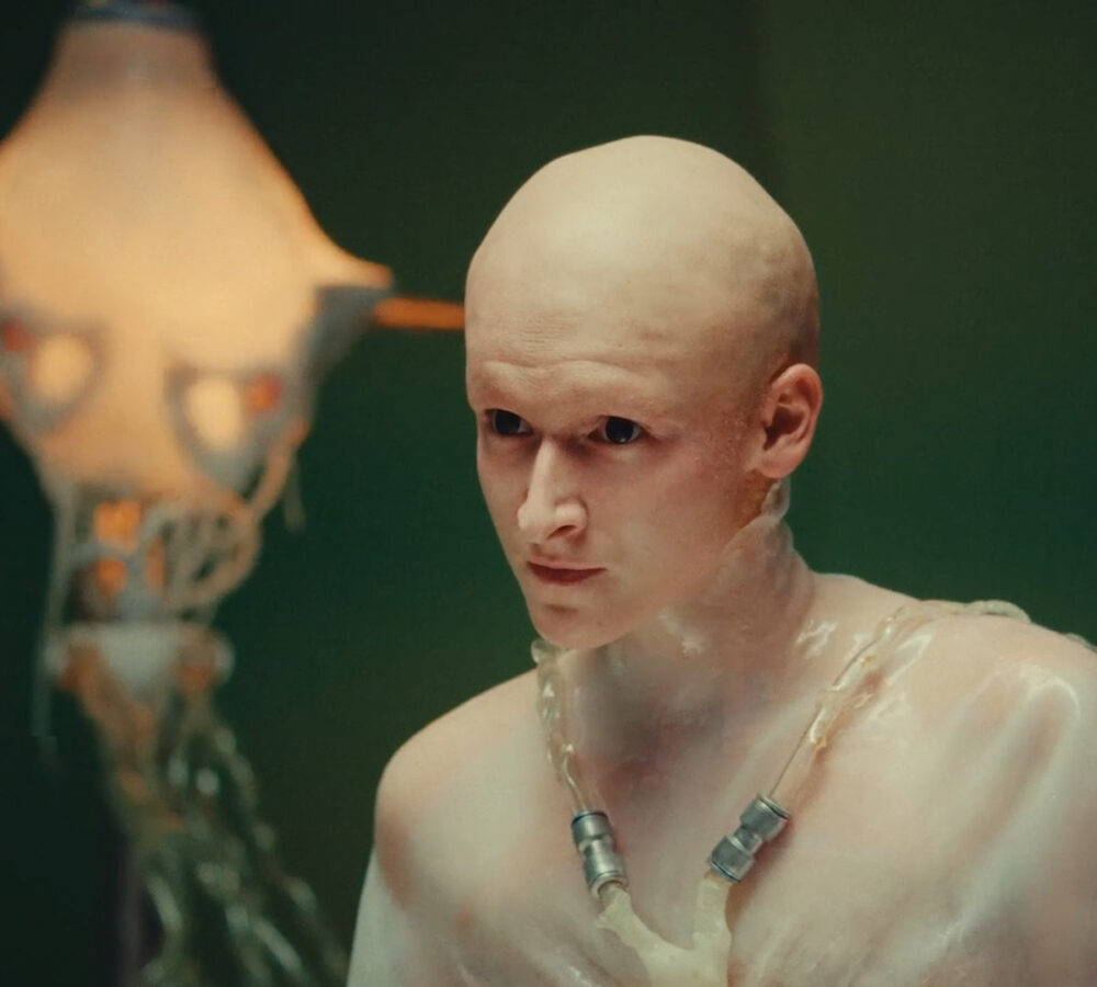 Weird to Be Human: Between Flesh and Data