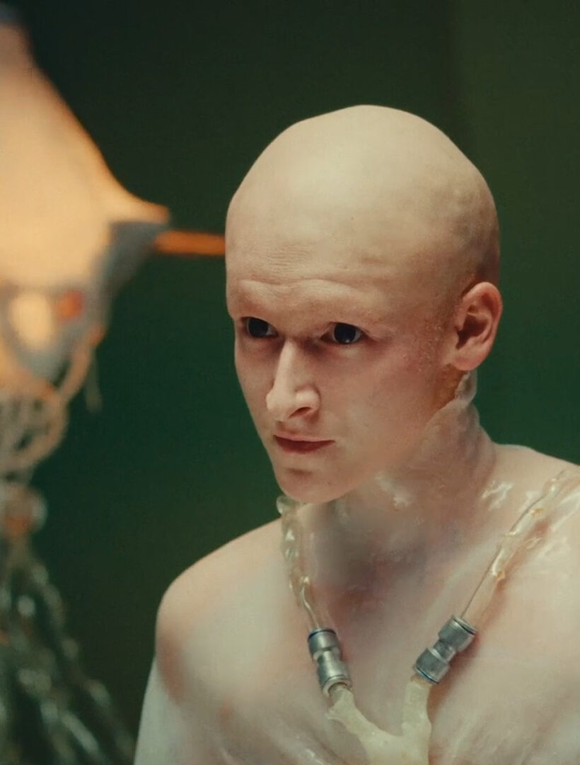 Weird to Be Human: Between Flesh and Data